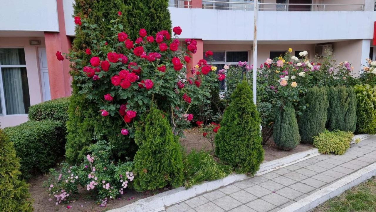 Бутикови Студиа Брита Kranevo Exteriér fotografie